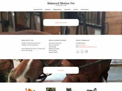 balancedmotionvet.com snapshot