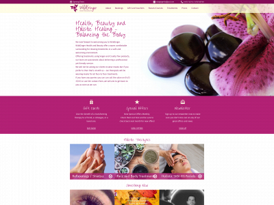 wildginger.ltd snapshot
