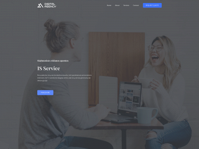 isservice.lt snapshot