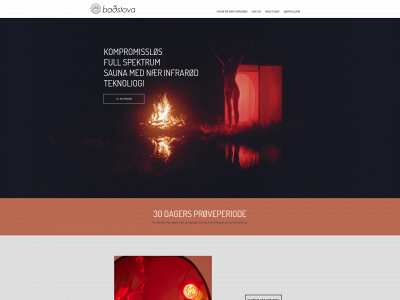 badstova.com snapshot