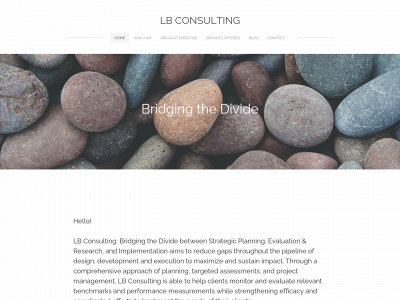 www.lauribenblattconsulting.com snapshot