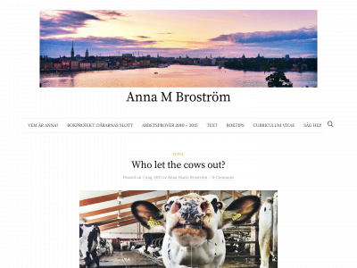 annamariabrostrom.com snapshot