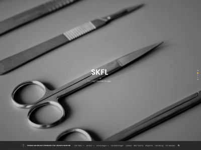 skfl.se snapshot