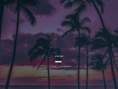 afrosun.be snapshot