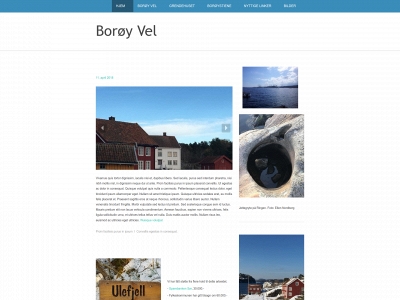 boroy-vel.no snapshot