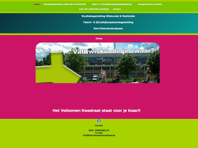toegangsexamengeneeskunde.be snapshot