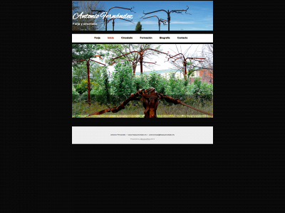 forjaycincelado.es snapshot
