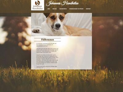 johannashundhalsa.se snapshot