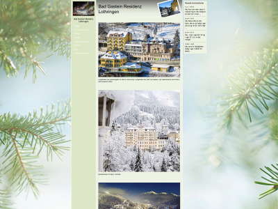 lejlighedbadgastein.dk snapshot