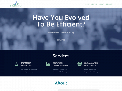 evolveefficient.com snapshot