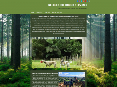 needlenosehoundservices.com snapshot