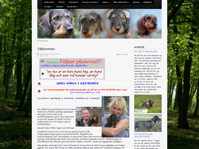 angomdrevet.se snapshot