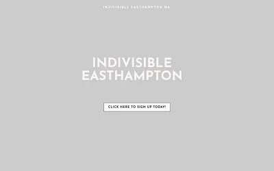 www.indivisibleeasthampton.org snapshot