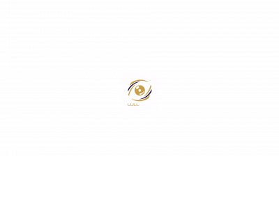 luluah-it.com snapshot