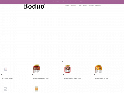 boduo.nl snapshot
