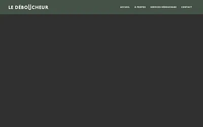 le-deboucheur.be snapshot