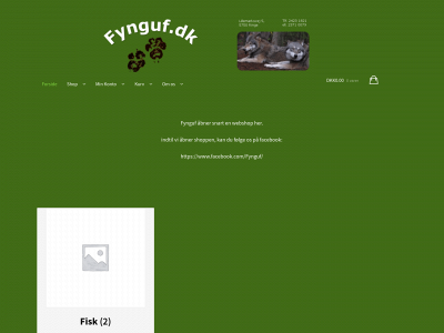 fynguf.dk snapshot