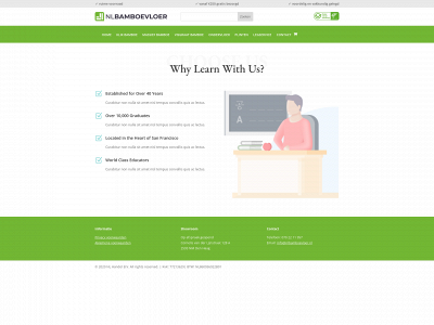 nlbamboevloer.nl snapshot