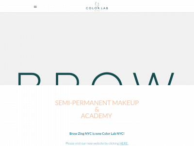 browzingnyc.weebly.com snapshot