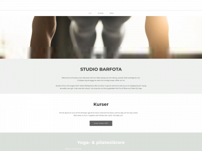 studiobarfota.se snapshot