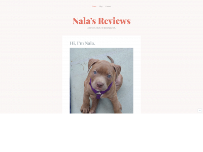 nalasreviews.com snapshot