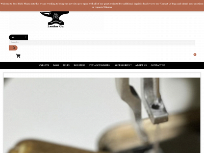thesteelhidecompany.com snapshot