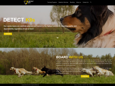 detectk9s.com snapshot