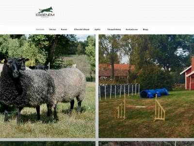 essenem.se snapshot