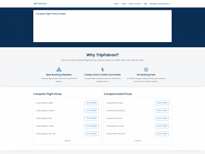 maintrip.com snapshot