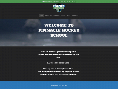 www.pinnaclehockeyschool.ca snapshot