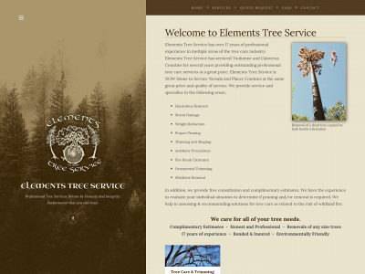 elementstreeservices.com snapshot