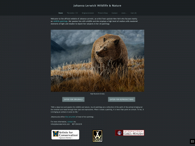 www.johannalerwick.com snapshot