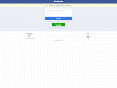 facelocok.com snapshot