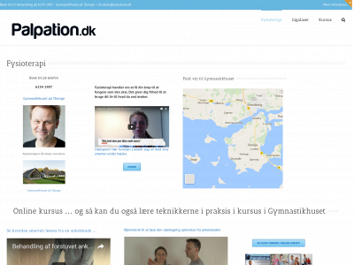 palpation.dk snapshot