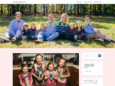 mybigcrazylife.com snapshot