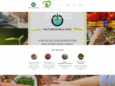 naturconsulting.com snapshot