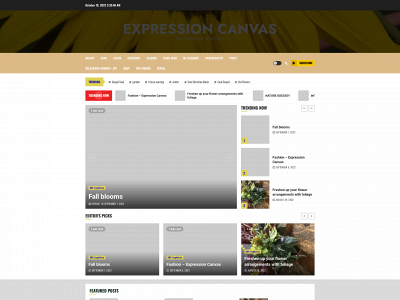 expressioncanvas.com snapshot