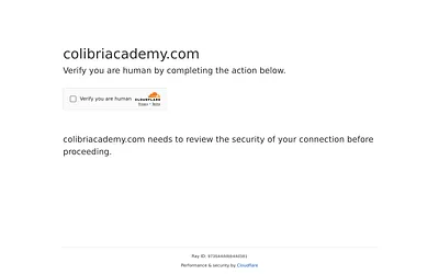 colibriacademy.com snapshot