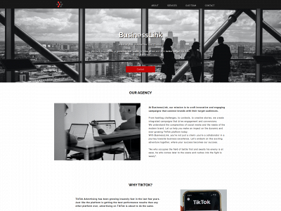 businesslink.marketing snapshot