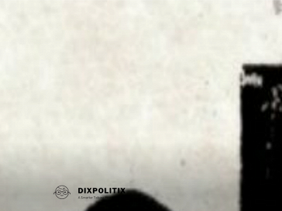 dixpolitix.com snapshot