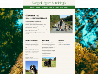 skogsdungenshunddagis.se snapshot