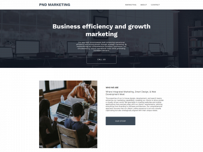 pndmarketing.com snapshot