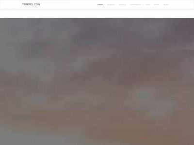 terepel.com snapshot