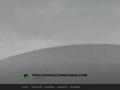 theleapingleprechaun.com snapshot