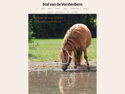 stalvandevorstenbern.nl snapshot