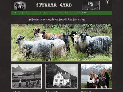 styrkargard.no snapshot
