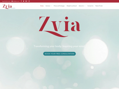 zvia.com snapshot