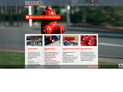reverbrandbeveiliging.nl snapshot