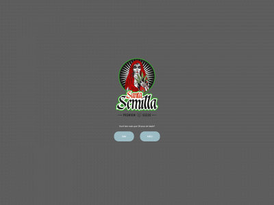 santasemilla.store snapshot