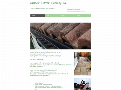 sussexguttercleaning.co.uk snapshot